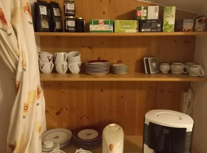 Gaesteheim Auwitsch Майрхофен